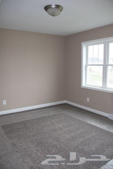 Painter Boy Paints630106294067231113
