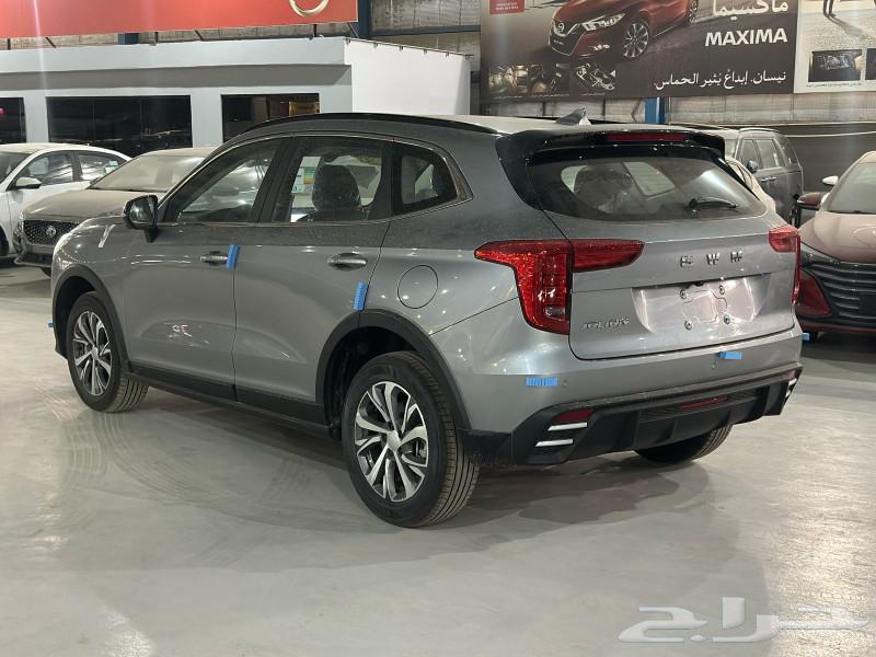 Haval Julian 202563155568788738113