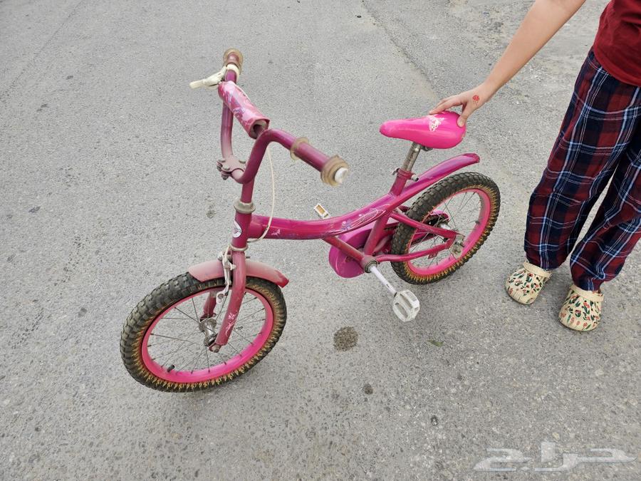 Rambo bike for girls size 1663097116363009111