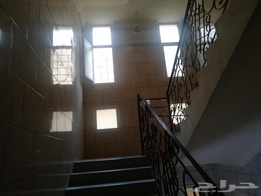 عمارة كبيرة للبيع حي النخيل 874 متر الدخل يصل إلى 10 بالميه63010915433985112