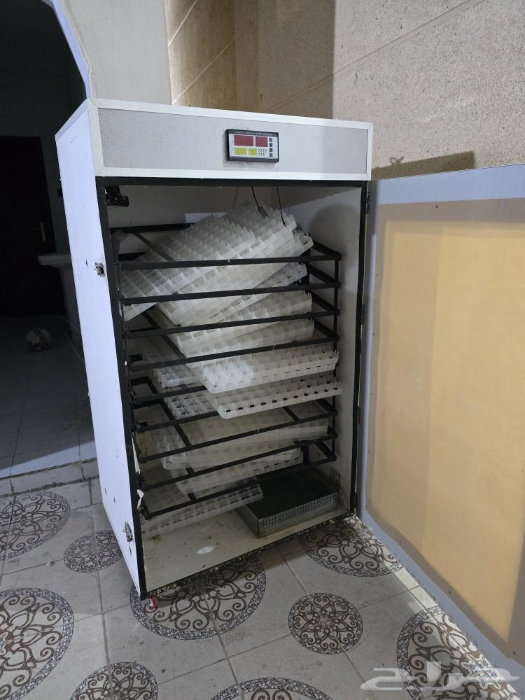 Al-Faqasah63011025934849112