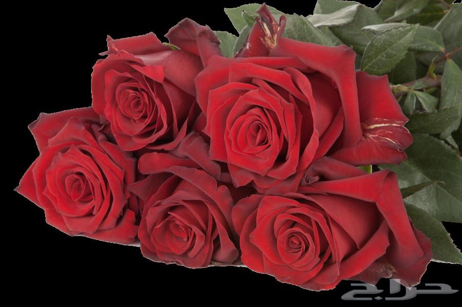 Gawri came63097131296771116