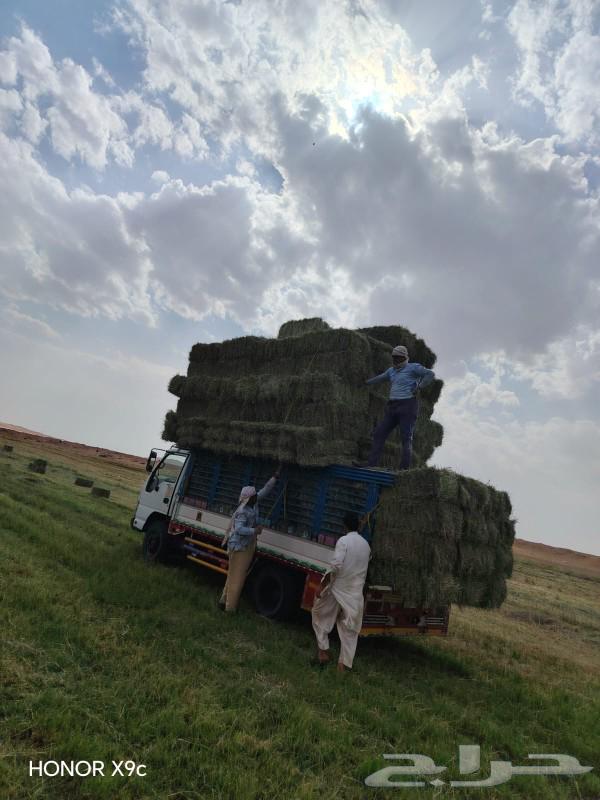 رودس صافي63037867204610115
