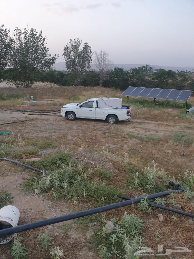 نقل سمك و زريعه بسيارة ونيت مجهزة خصصيآ لنقل الأسماك63039139020033113