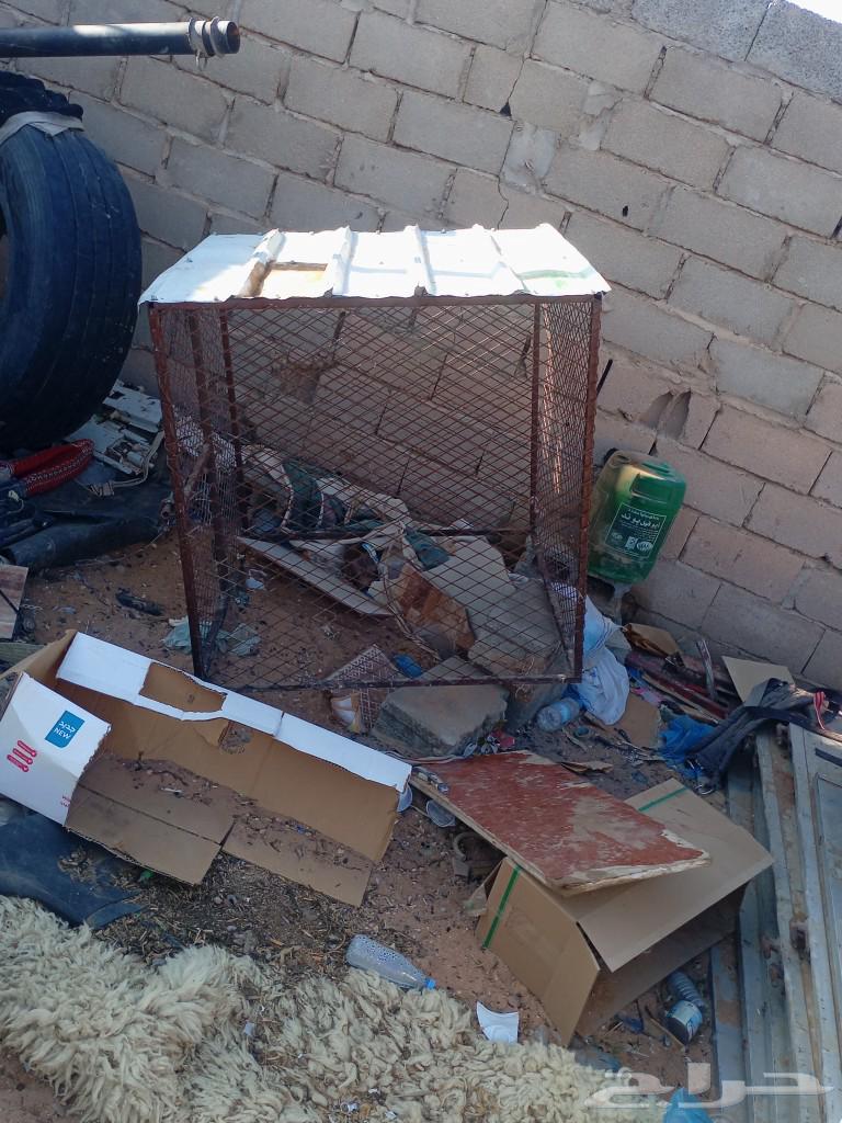 For sale: pigeon or chicken coop630395775057941112