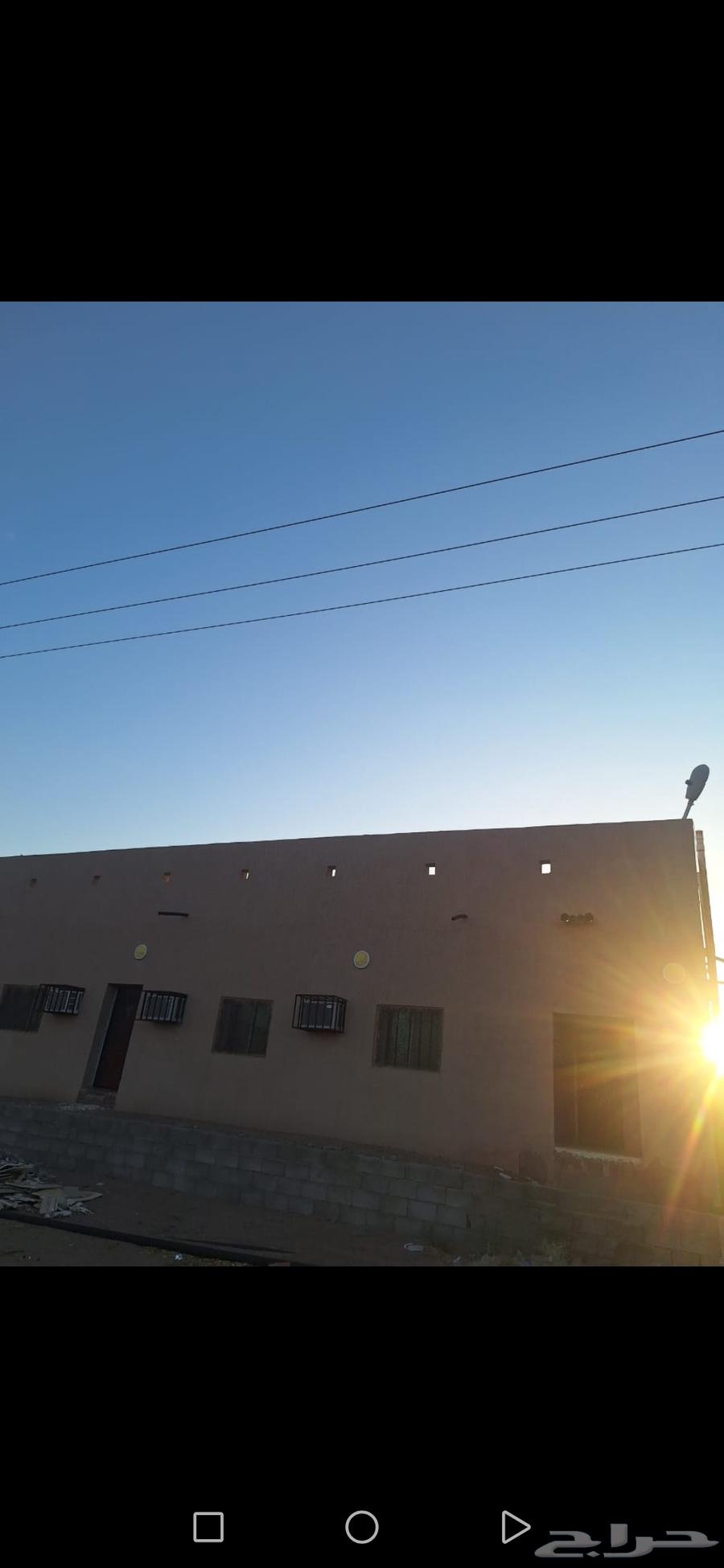 Two farms for sale, Al-Malilah, Al-Dha'wa plot63012959003137111