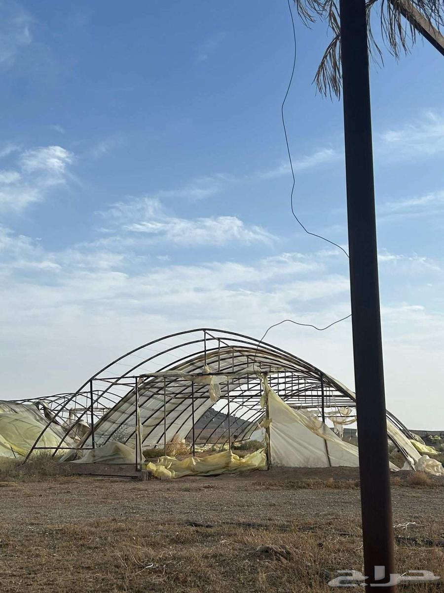 Palm trees and farmland for sale in Doha63014022035331114