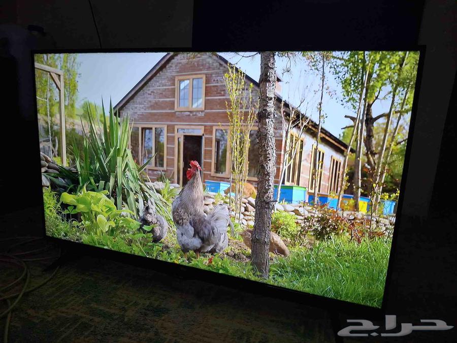 شاشه ايكون 50 بوصه سمارت 4k63012739867137111