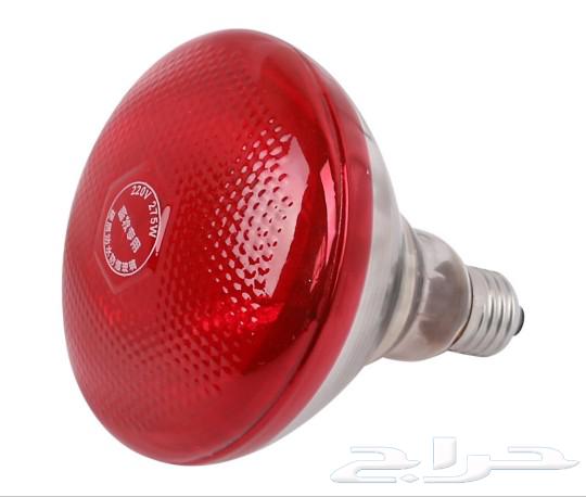 Infrared heat lamp for warming birds and animals630163209080331111