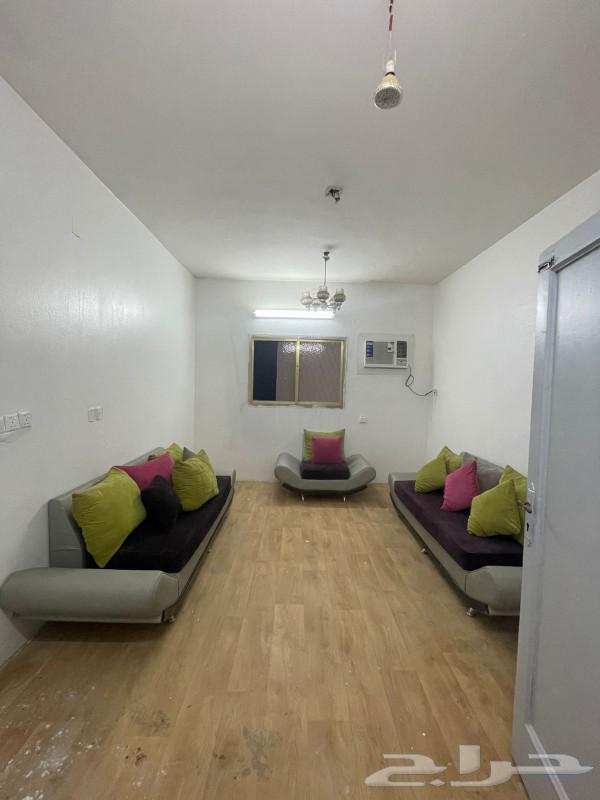 غرفة للإيجار