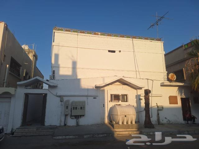 للبيع عمارة في حي البادية دخل الاجار 70 الف63012033275010115