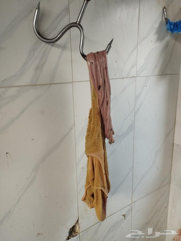 ذبائح نعيم بلدي مع القصب والتوصيل نشرط جودة اللحتمارى الاوزا63014043413762112