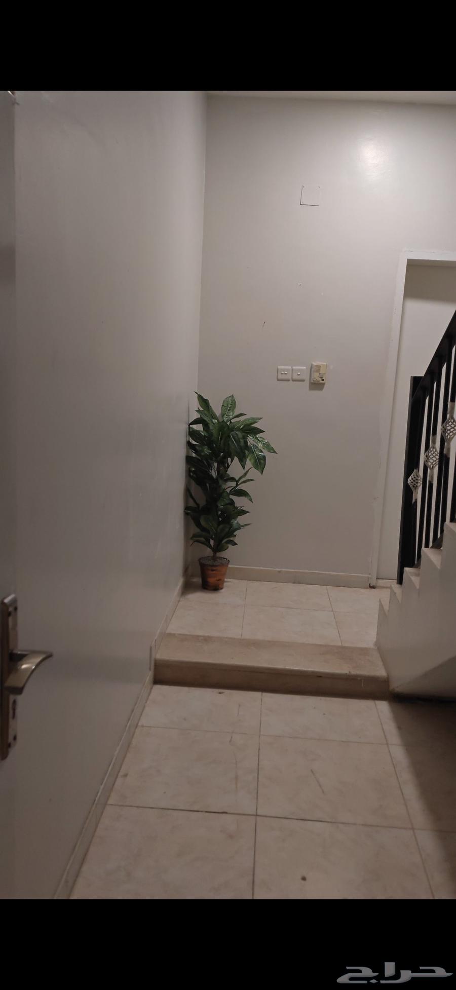 في مدينة المجمعة شقة عوايل للايجار63006635921410114
