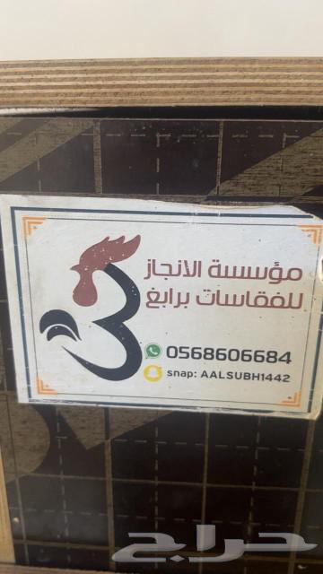 فقاسات يدوية63224533448067113