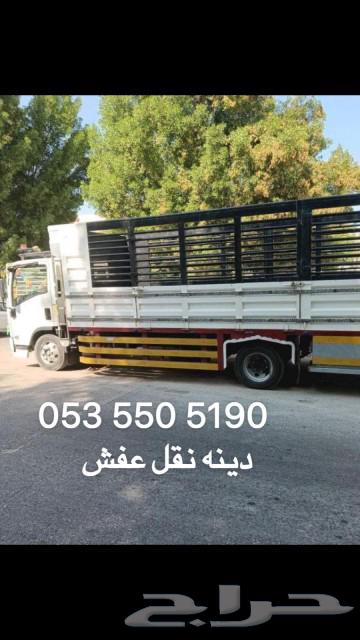 دينه نقل عفش داخل وخارج الطائف630142997404171124