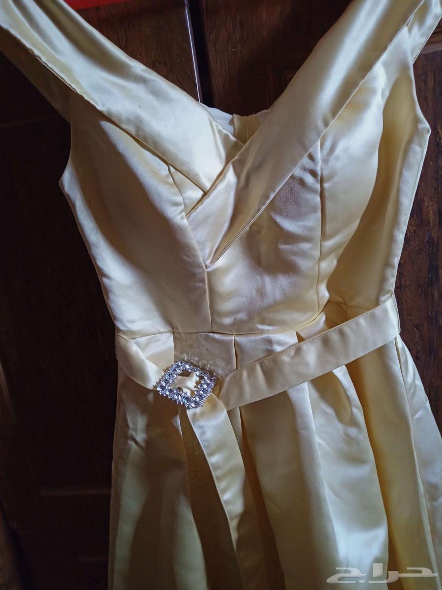 Lemon evening dress63142787752578114