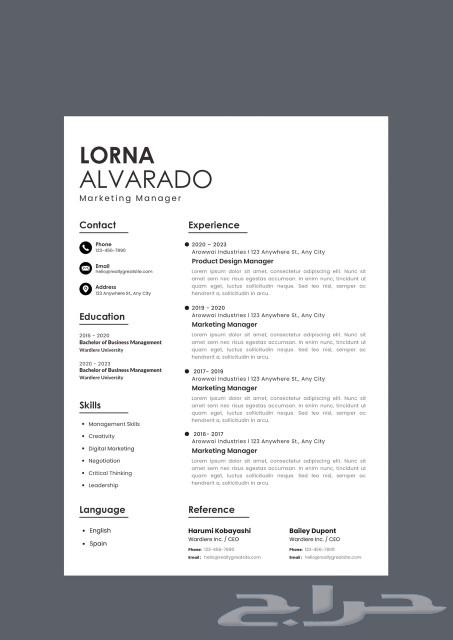 Professional English and Arabic resume design at the lowest price, with various styles available63028548504193110