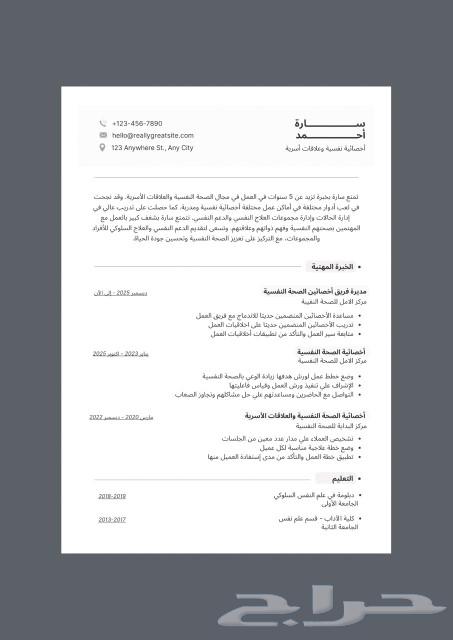 Professional English and Arabic resume design at the lowest price, with various styles available63028548504193112