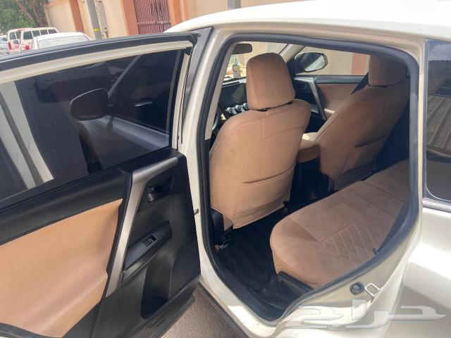 راف فور63039774671874113