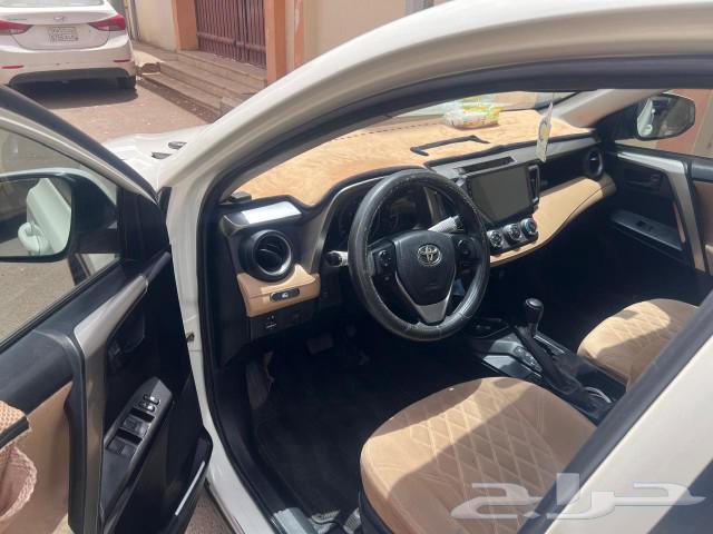 راف فور63039774671874114