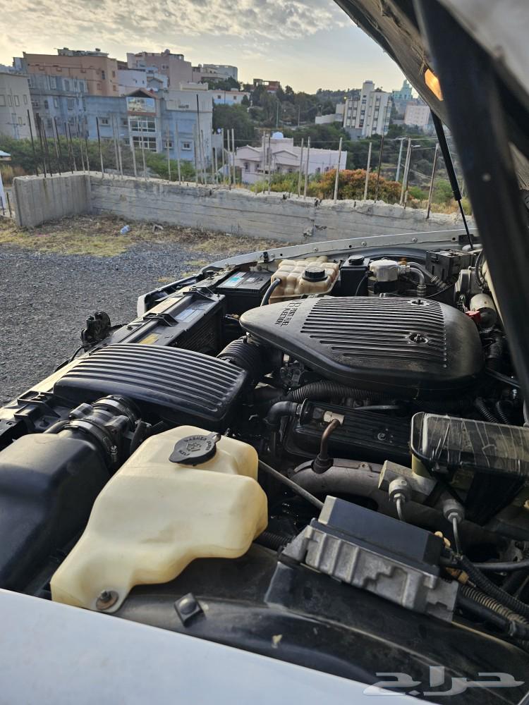 كابرس 94 LTZ63096555560833113