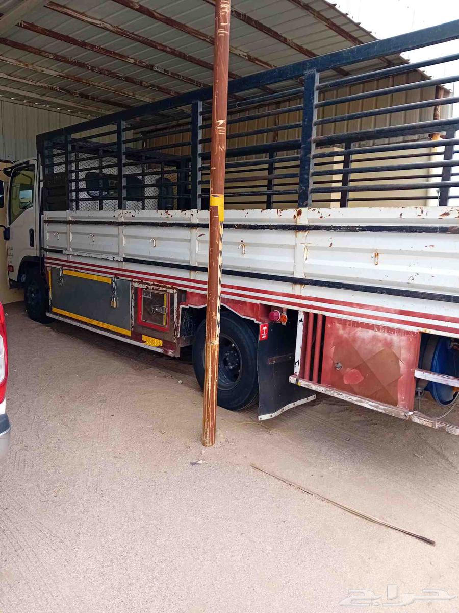 Transport of furniture, lost sheep630147757374751123