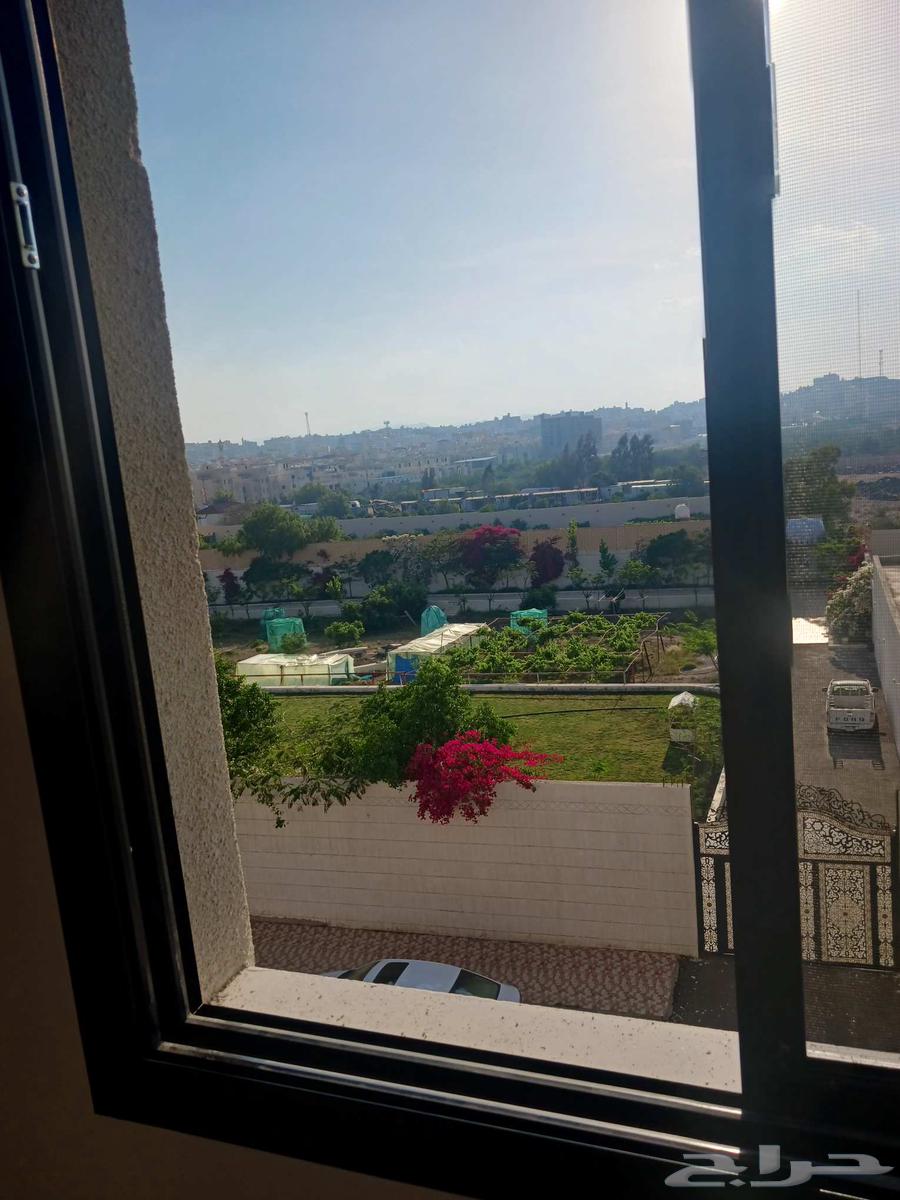 Luxury ownership apartments for sale Al-Mahallah Al-Masharif63014752994435113