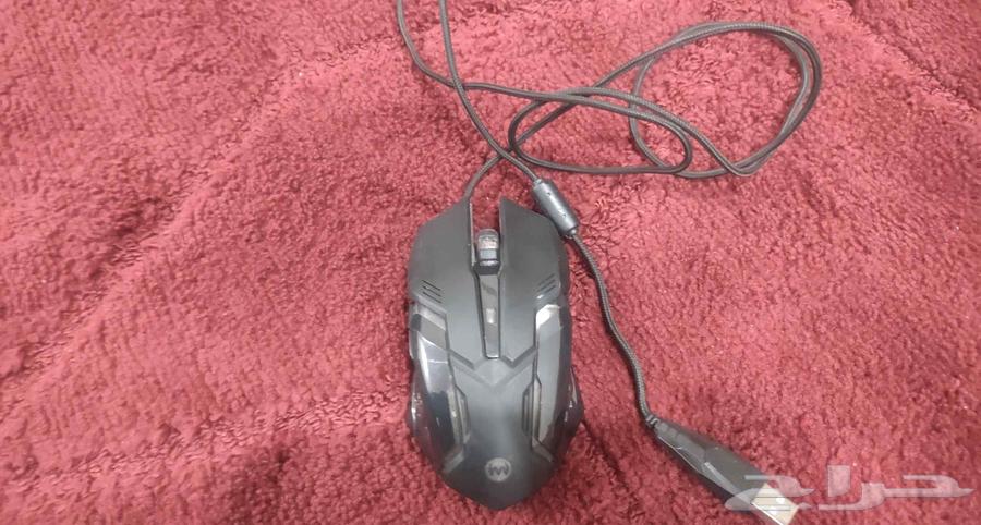 Mouse630272776225291112