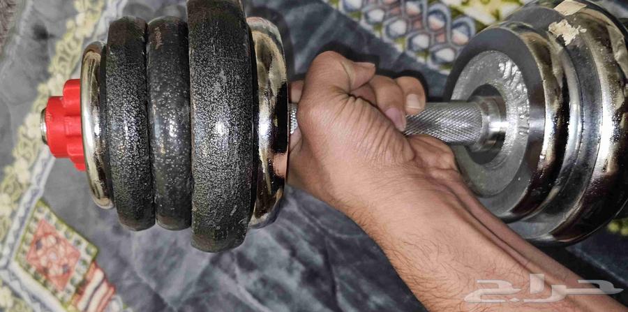 Dumbbells weight 11.50 kilograms630290328252181114
