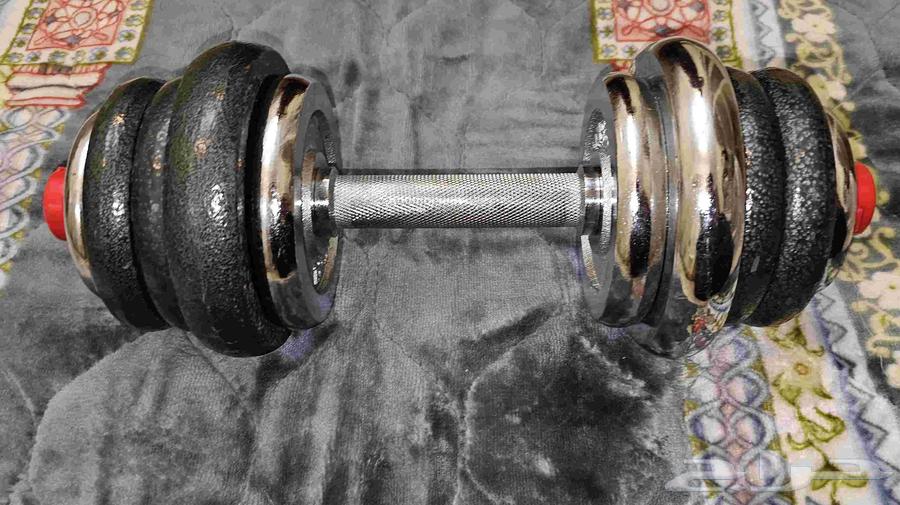 Dumbbells weight 11.50 kilograms63029032825218111