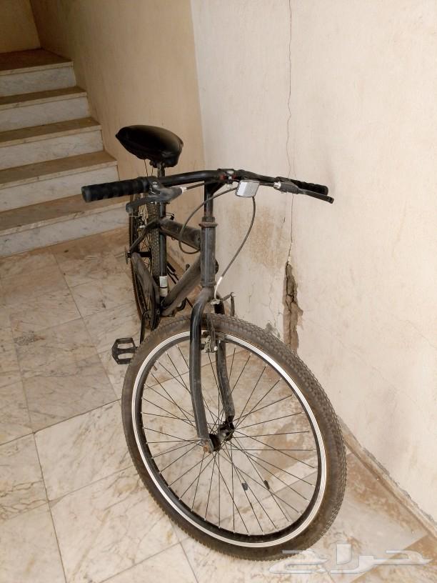 Sports bicycle for sale630272614900491115