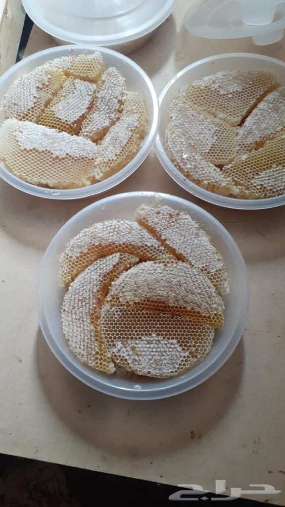 عندنا عسل طبيعي من جنوب المملكه الباحه وماجاورها63031895680515112