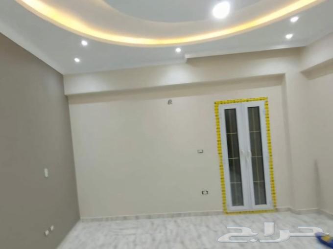 Dental Paints63012966102913112