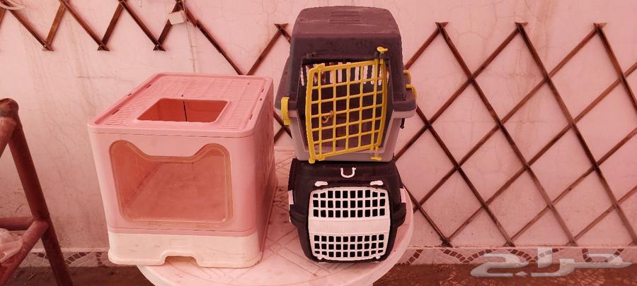 Cat accessories, food bowls, box with waste box63023364381699111