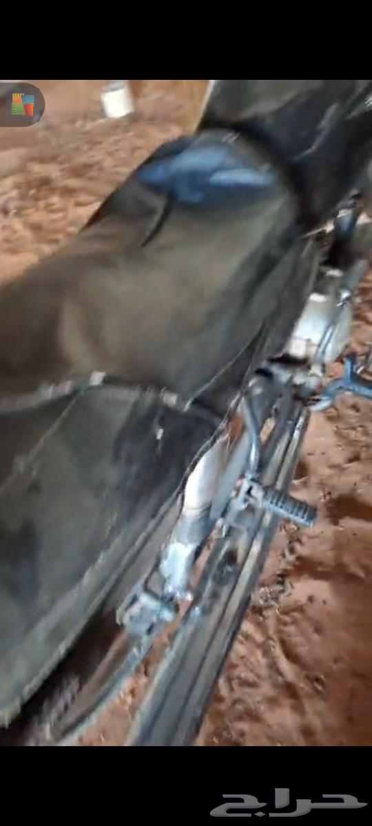Dabab for sale in Hail al-Qa'ud63022462024449111