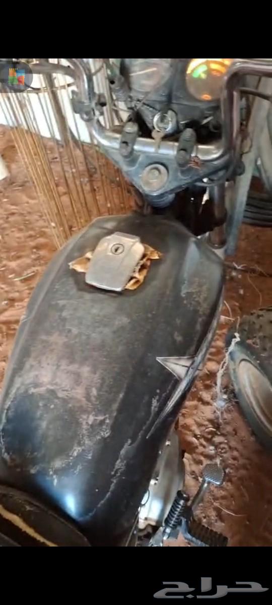 Dabab for sale in Hail al-Qa'ud63022462024449115