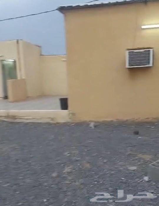 استراحة للايجار630124849345301123