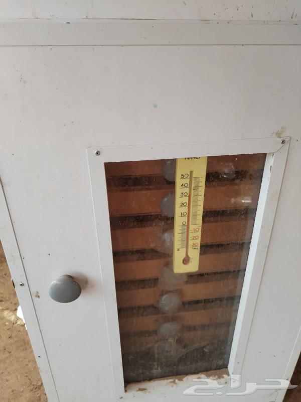 فقاسه شبه جديد استخدام 3 مرات تقريبا سبب البيع لعدم التفرغ63021064913410119