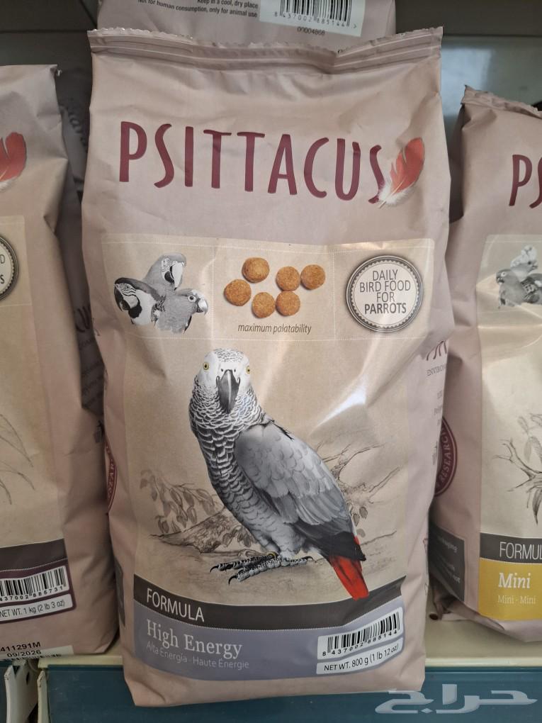 For sale daily food crown dra kasko macau qala bluefronted acalotes63066022088195119