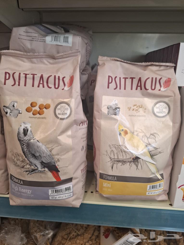For sale daily food crown dra kasko macau qala bluefronted acalotes63066022088195112