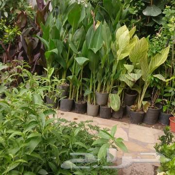 Garden layout63013412391041112
