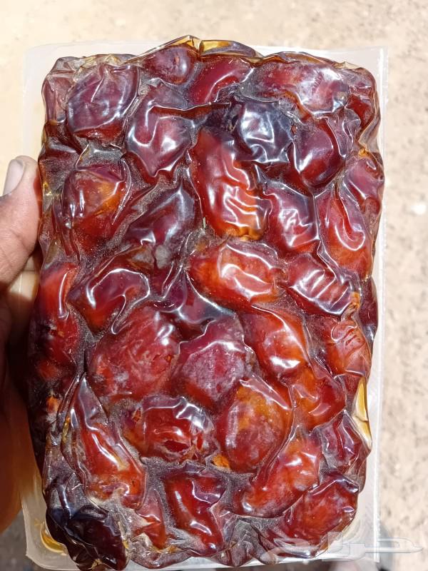 تمر اخلا ص مصنع جاهز مقمع الكميه 170 كرتون63018399297281114