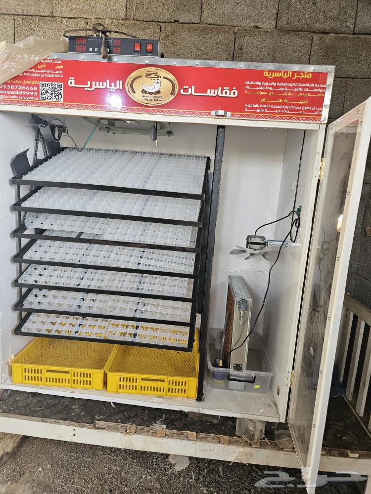 فقاسه جديده63021109399683112