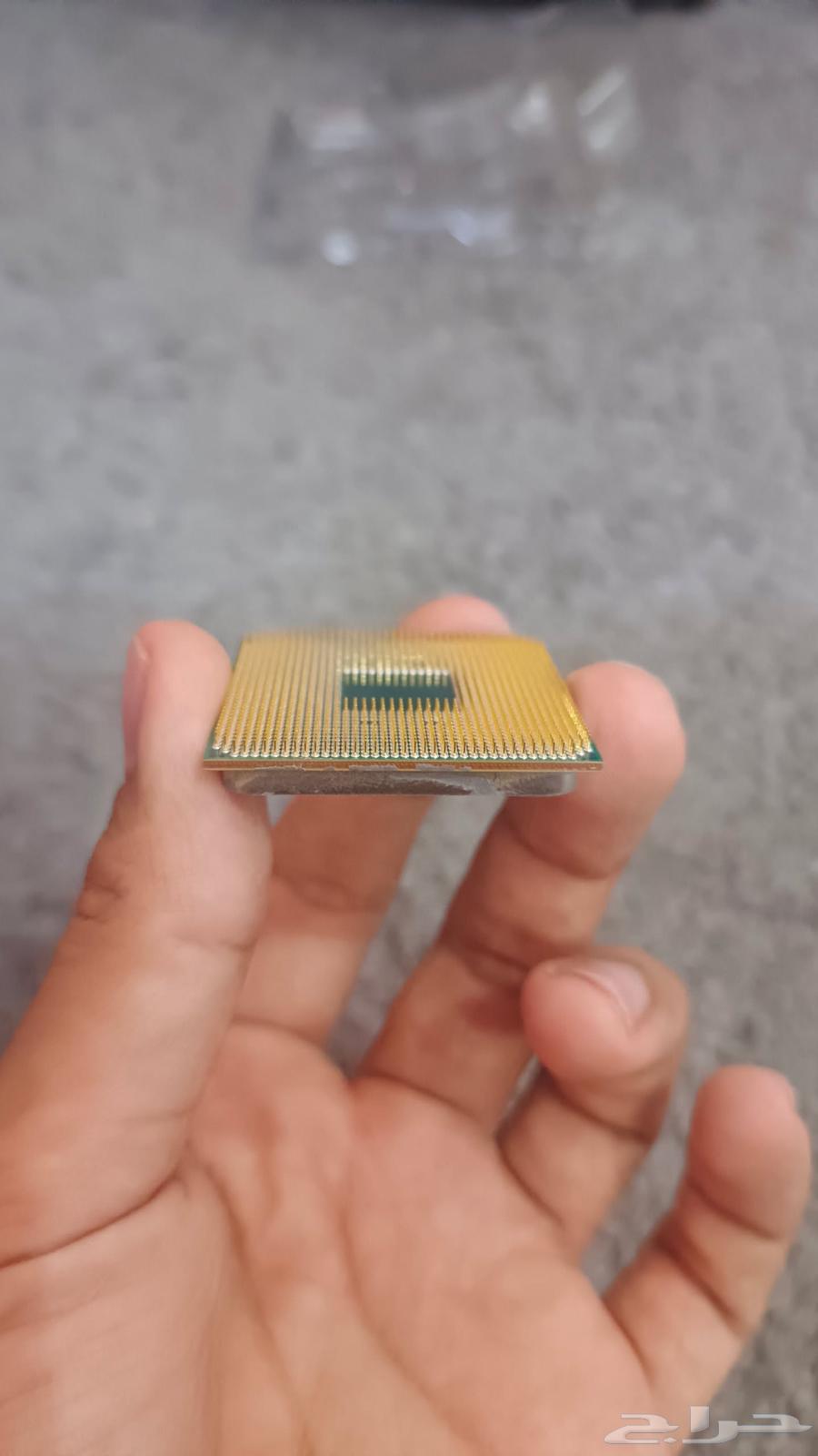 Raisin 3 3100630154297392671113