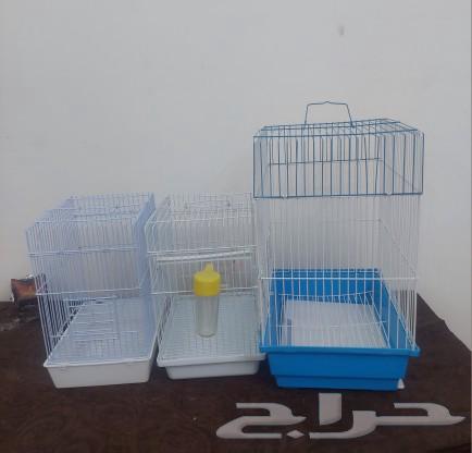 Three bird cages63014968282755111