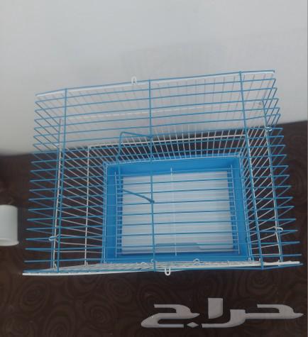 Three bird cages63014968282755113
