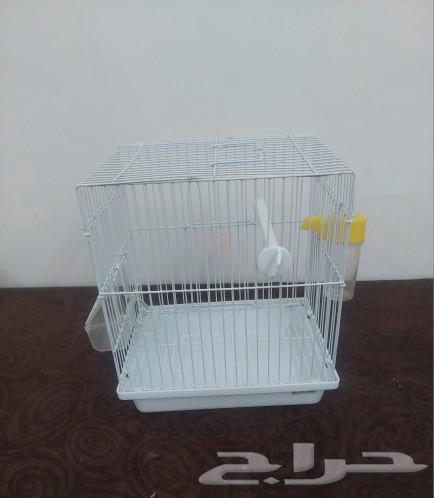 Three bird cages63014968282755114