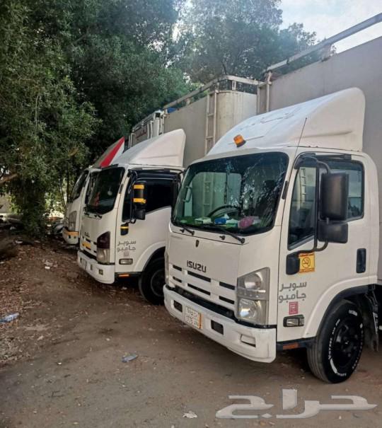 A furniture transportation company in Rabigh, Jeddah, Mecca, and Taif630147768391701113