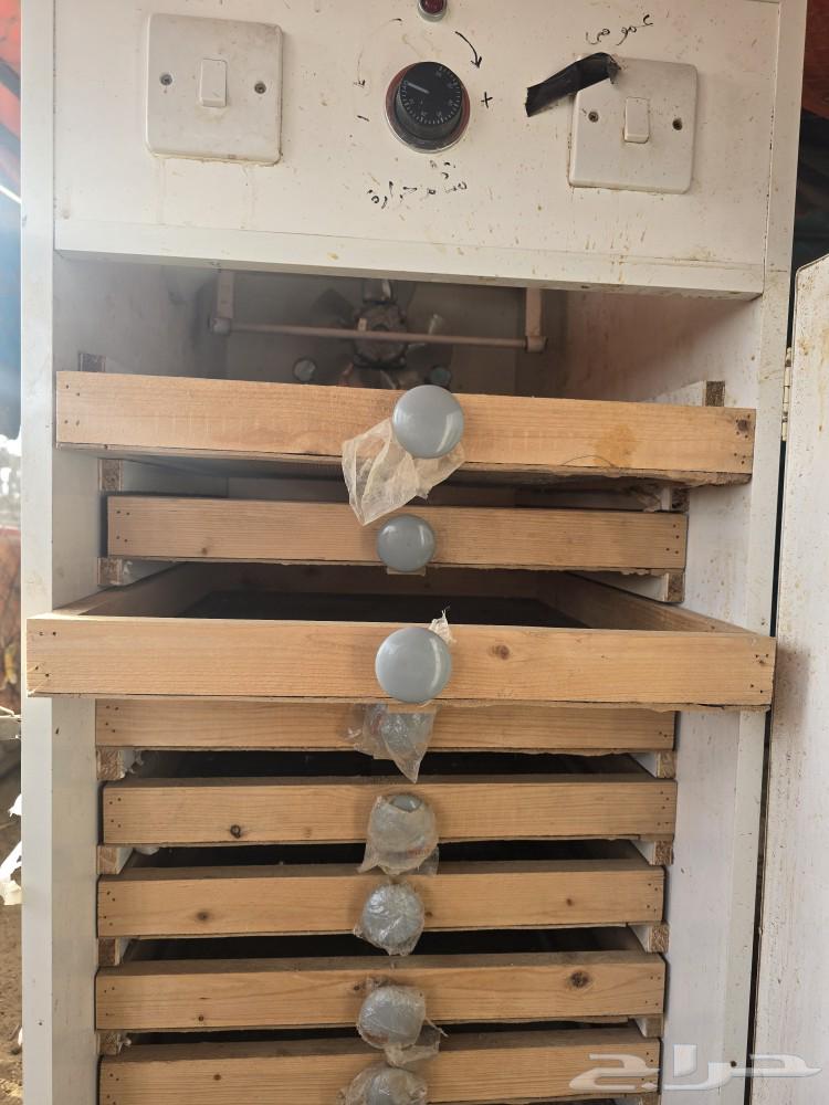 فقاسه شبه الجديد للبيع63016732943745113