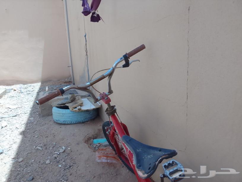 Cycle 20 for sale63017583033347111